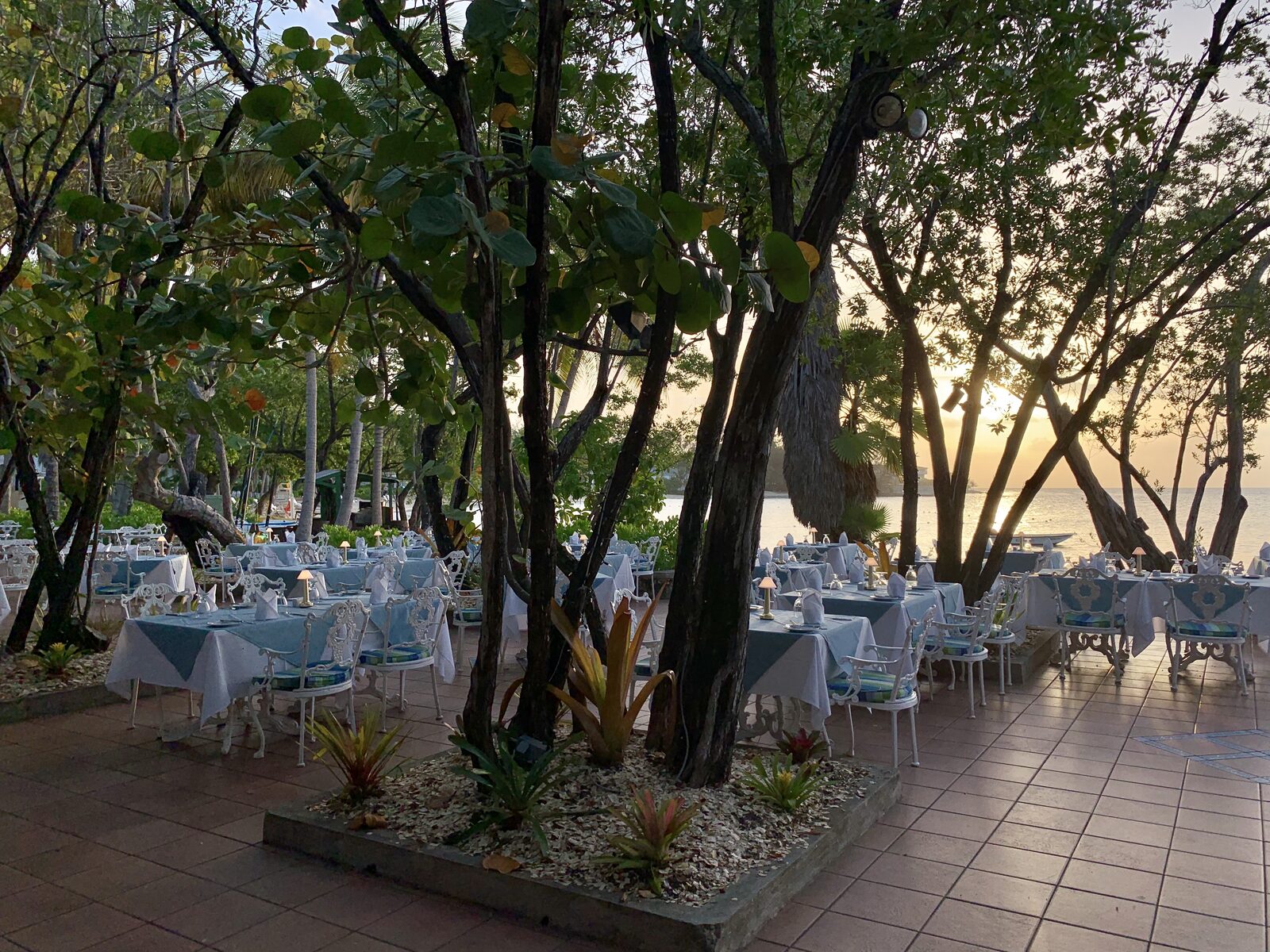 Outdoor dining tables at sunset under trees at a destination reception, the natural pause between courses where speeches land best