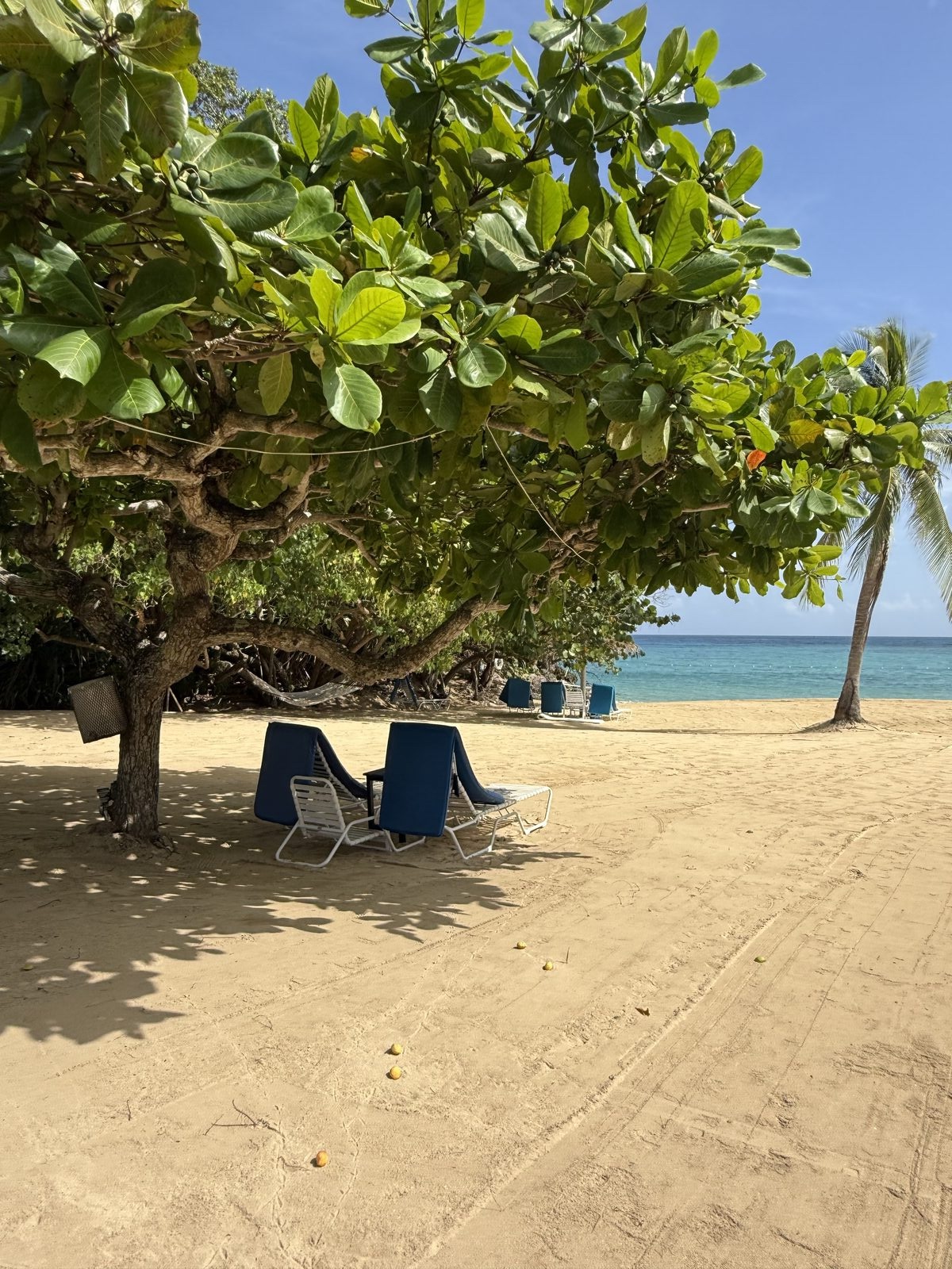 A quiet stretch of beach with 2 wooden lounge chairs shaded under a tree, the kind of low-key island scene that works for the honeymoon half of a Mexico combo trip