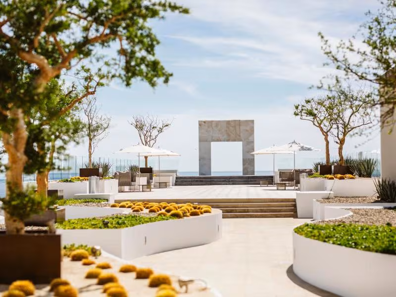 Le Blanc Spa Resort Los Cabos — Blanc Wind Terrace