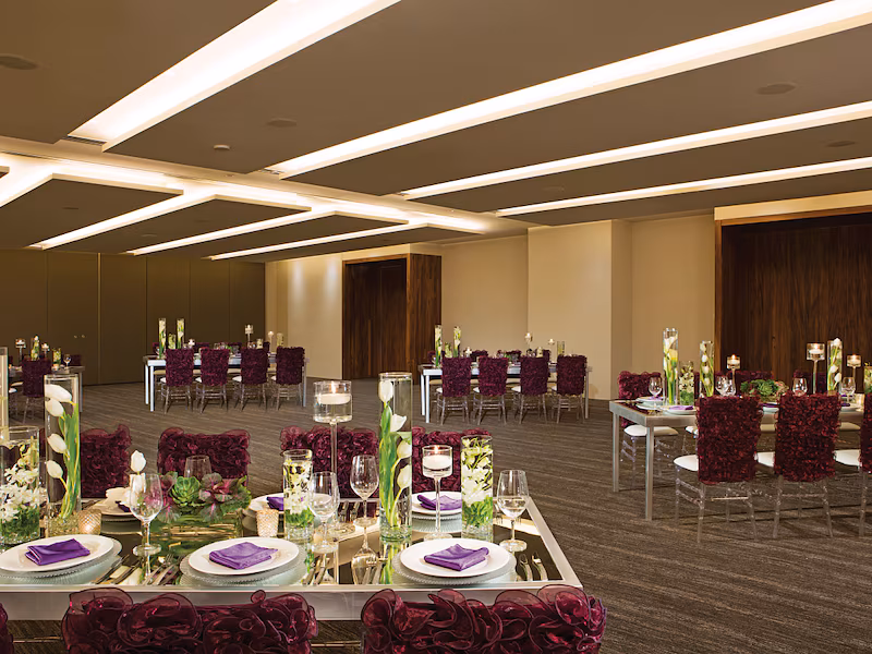 Breathless Cabo San Lucas Resort & Spa — Ballroom