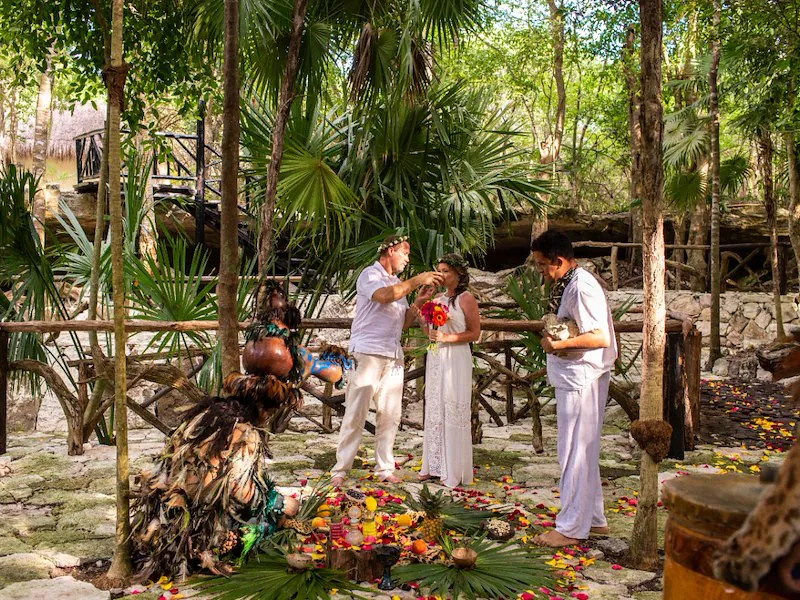 El Dorado Casitas Royale by Karisma — Jungle Rock