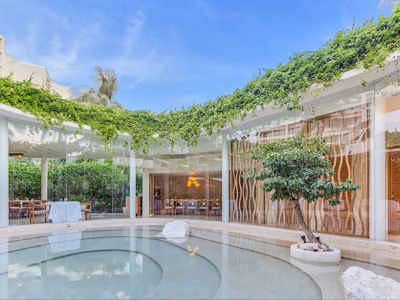Live Aqua Beach Resort Cancún — Carnivore