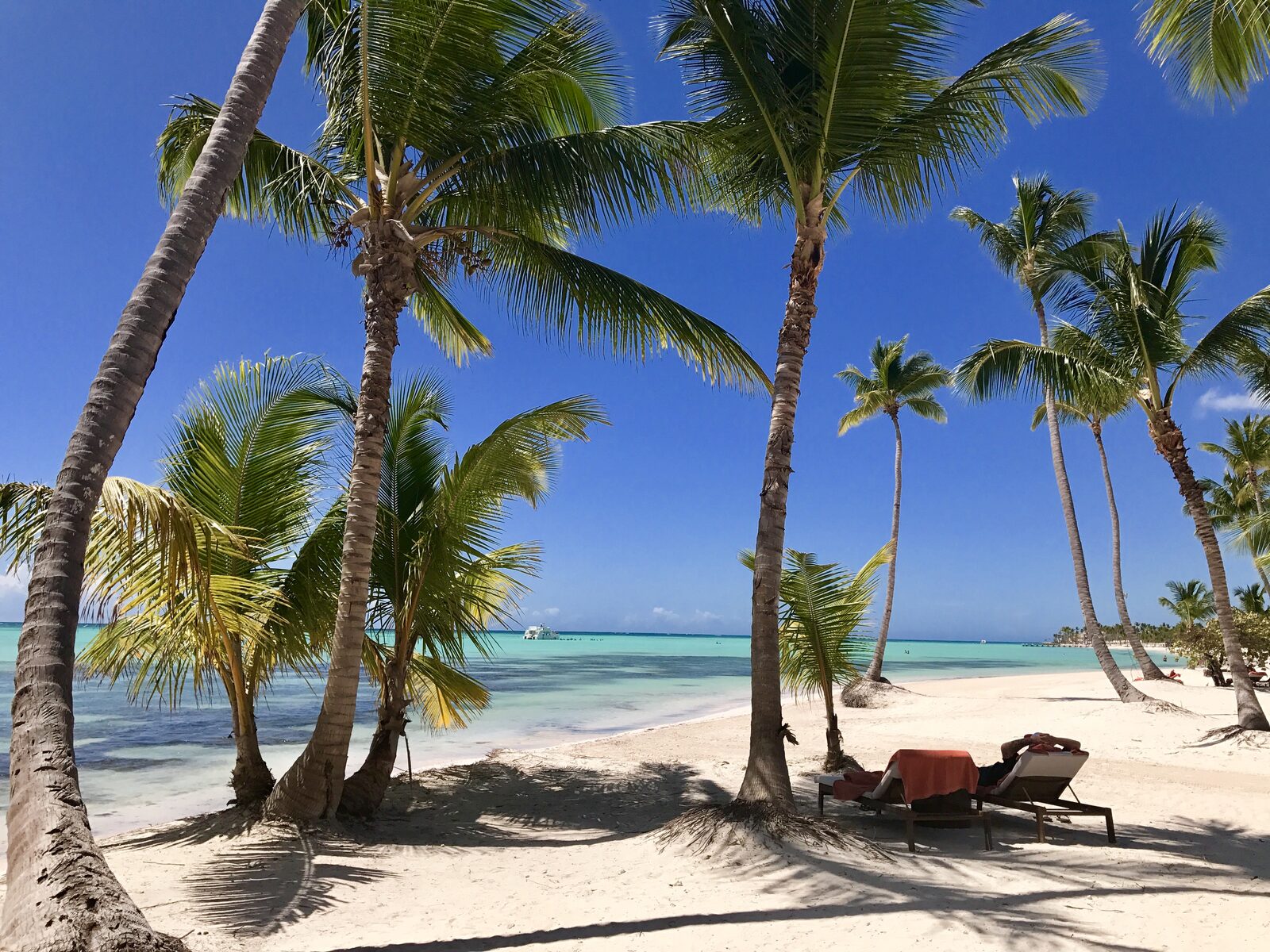 Palm-lined beach and mountain scenery along the northeastern Miches coastline in the eastern Dominican Republic
