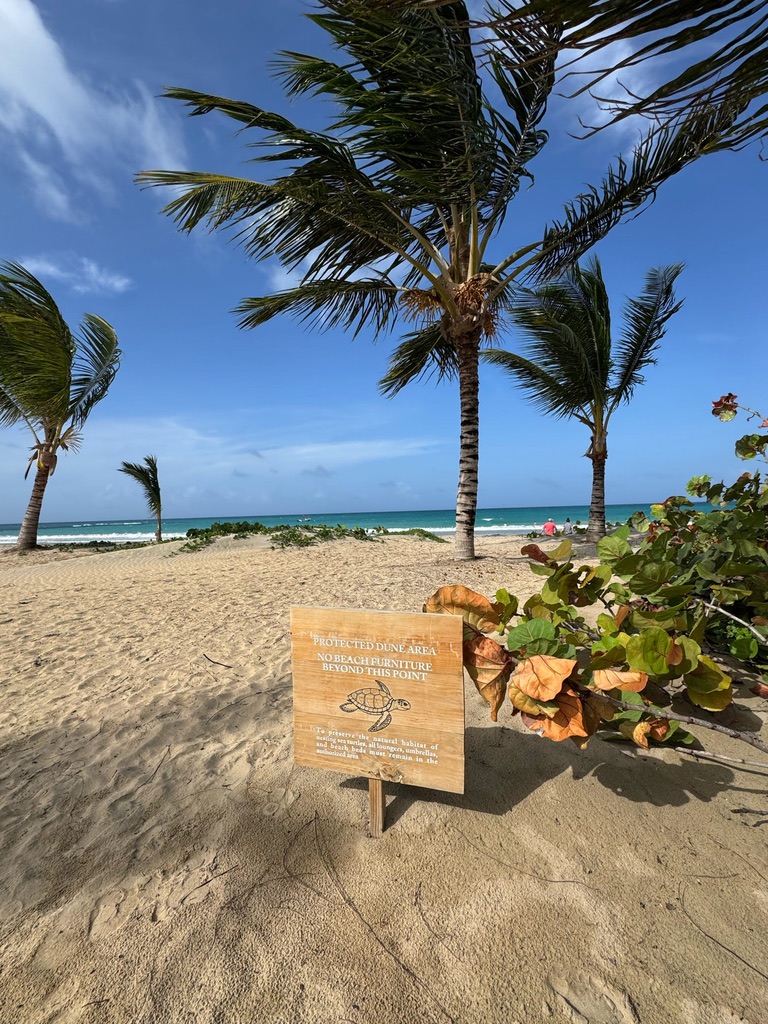 Protected dune area sign with sea turtle icon on the beach at Secrets Playa Esmeralda